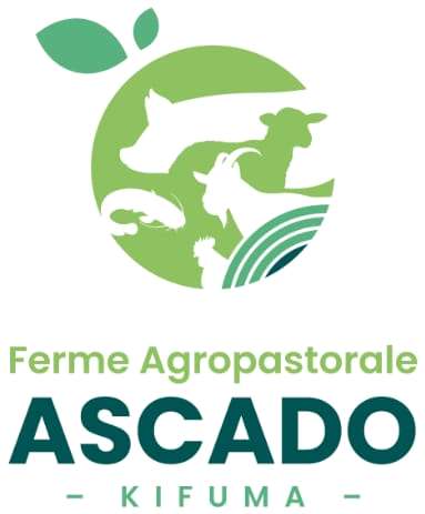 Ferme Agropastorale Ascado Kifuma