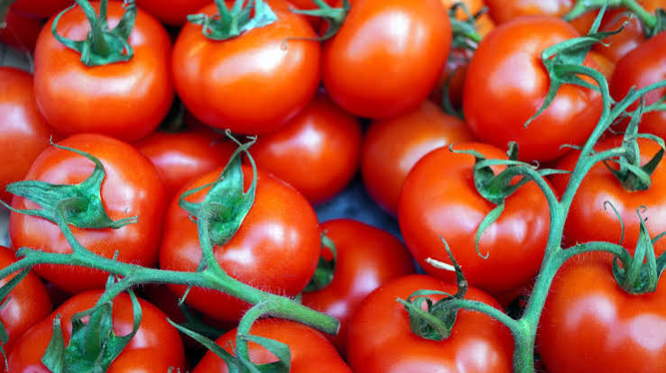 Tomates